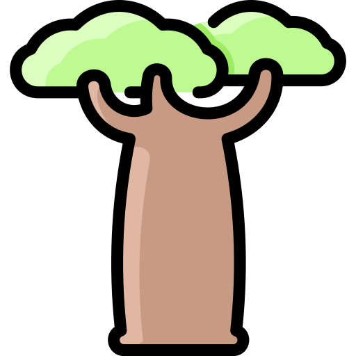 Baobab