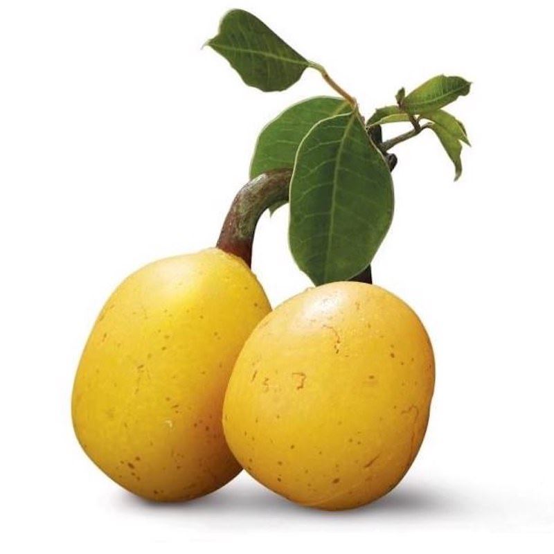 Marula